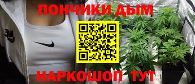 шишки Пугачёв